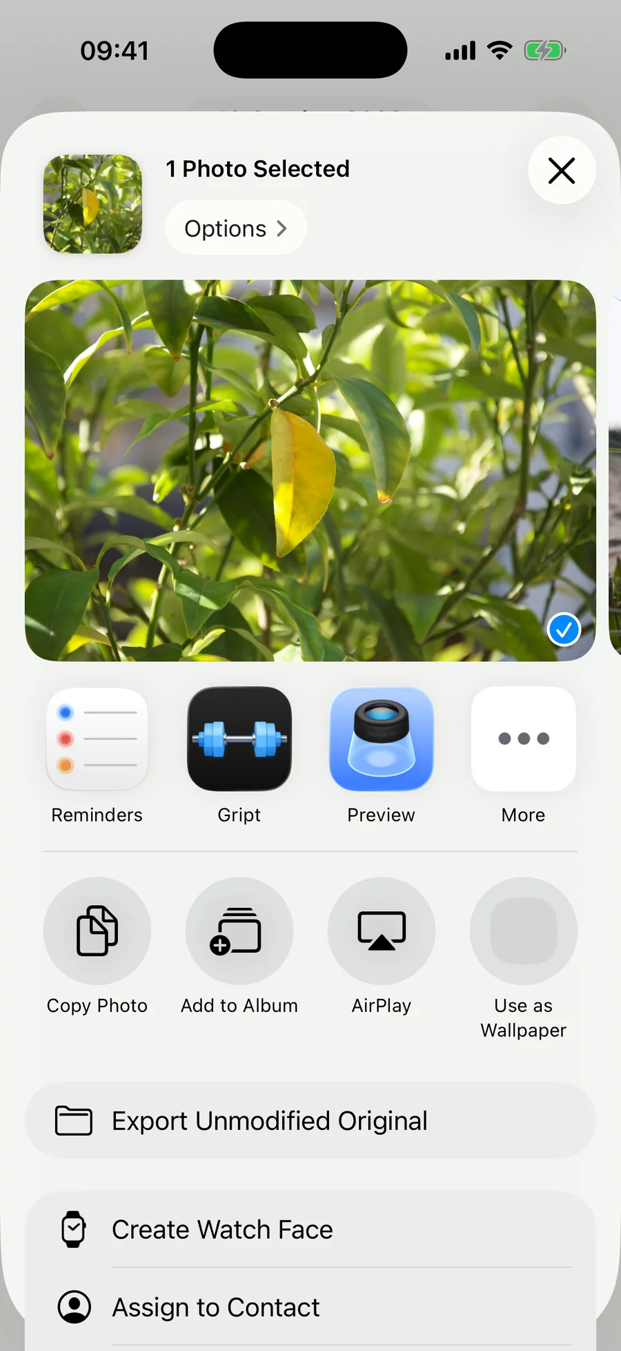 A folha de compartilhamento do iOS para uma foto com a Gript na fileira de apps, ao lado de Lembretes e Pré-visualização