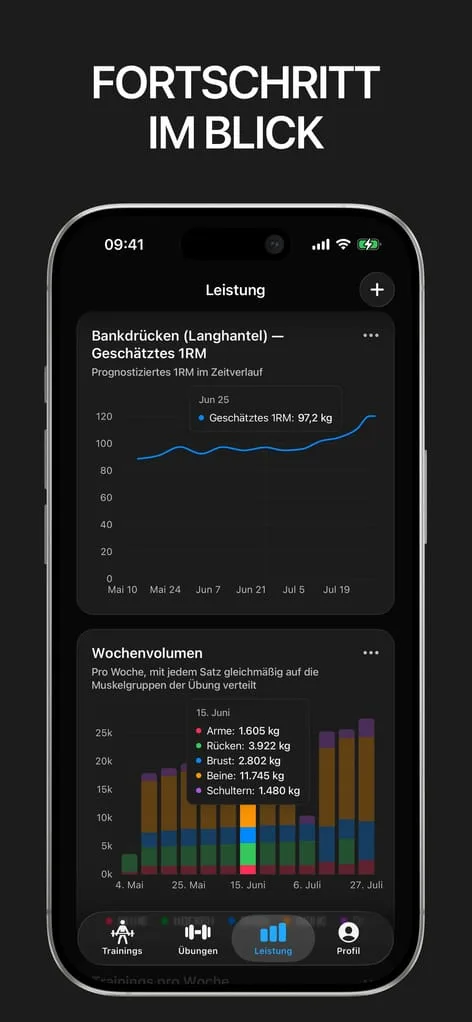 Screenshot der Leistungsdiagramme von Gript